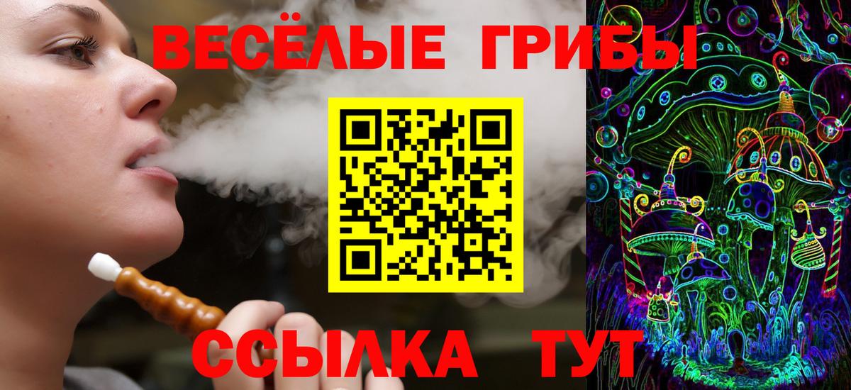 Псилоцибиновые грибы Psilocybine cubensis Сарапул