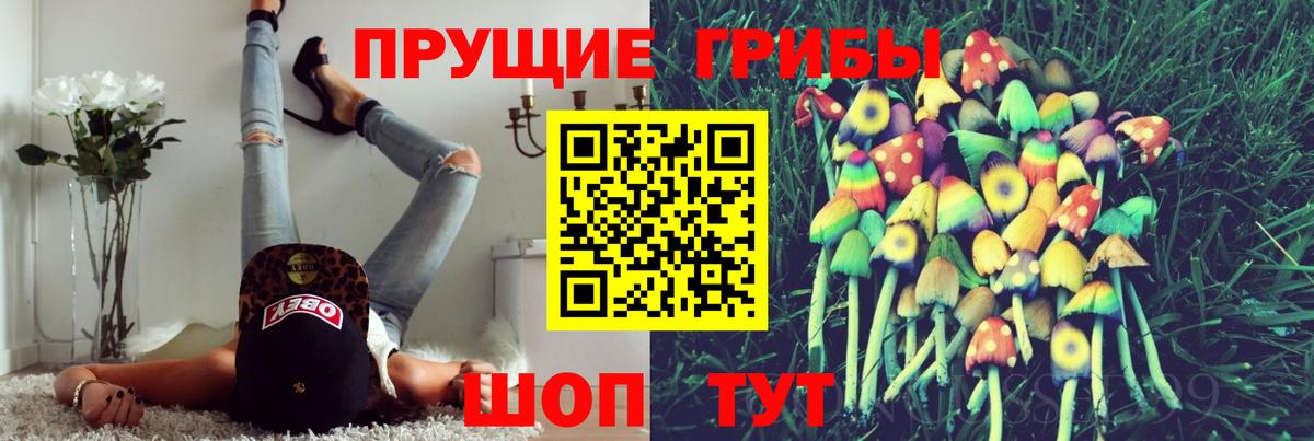 Сарапул  Галлюциногенные грибы Cubensis  Вход с VPN 